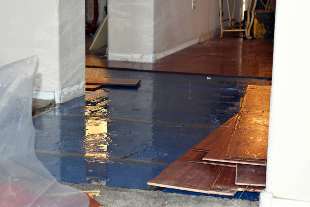 Professional Water Damage Restoration technician working in Farber, MO